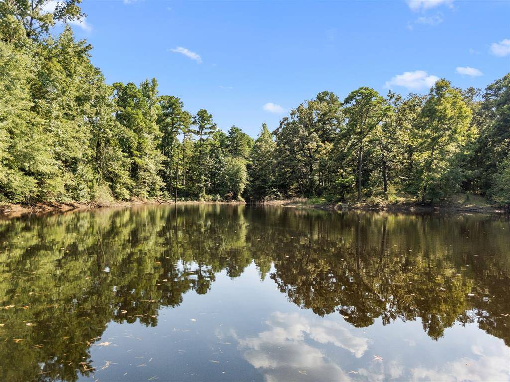 Mineola, TX 75773,1081 County Road 3875