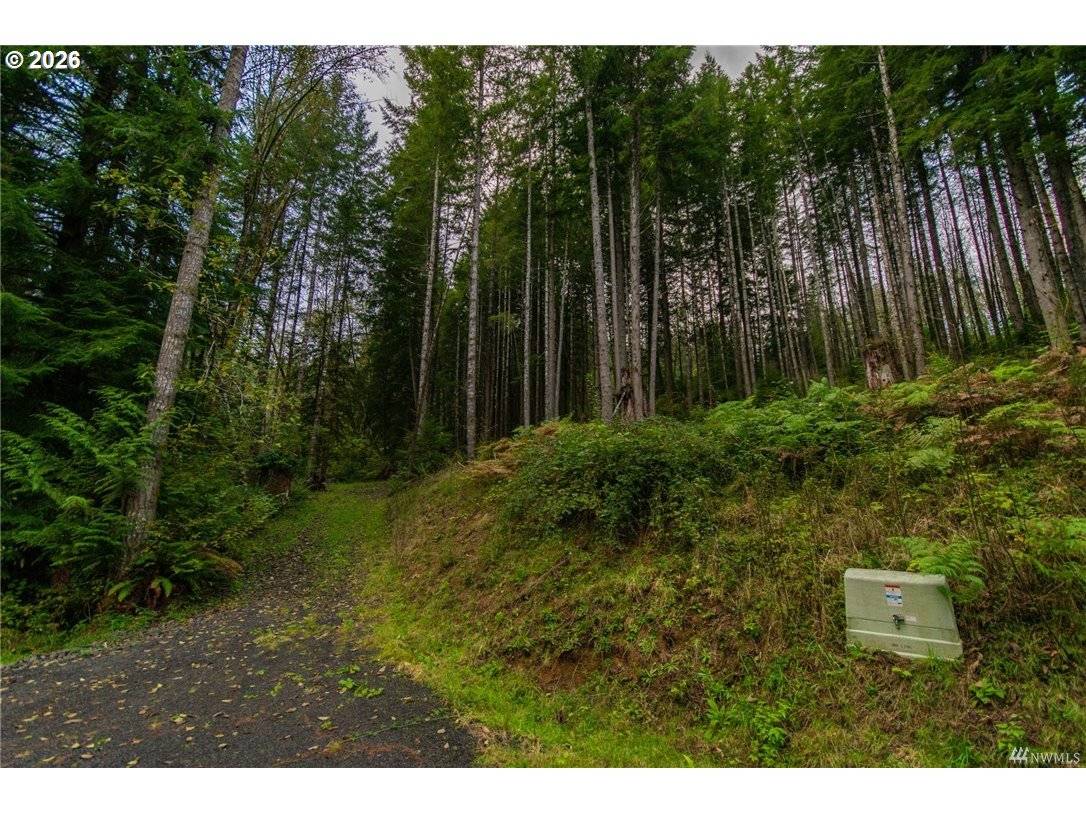 Longview, WA 98632,1 Lot Bison Run