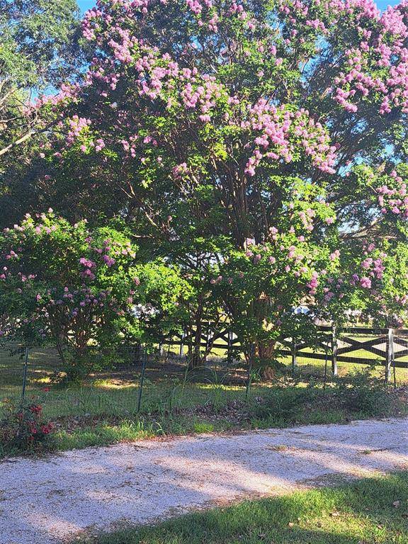 Princeton, TX 75407,9394 County Road 865