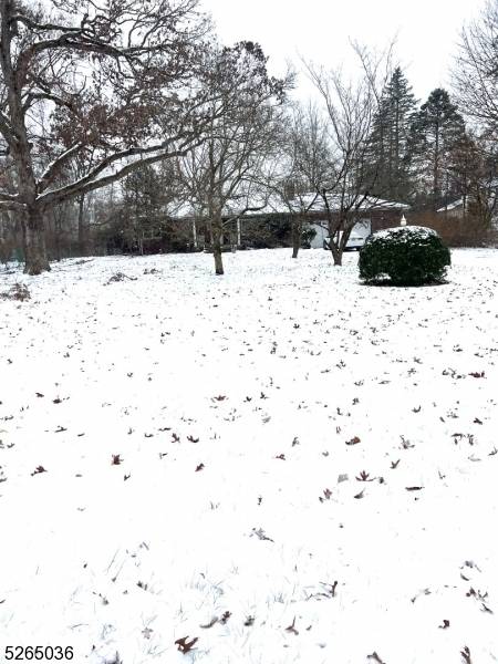 Wayne Twp., NJ 07470,19 Lavina Ter