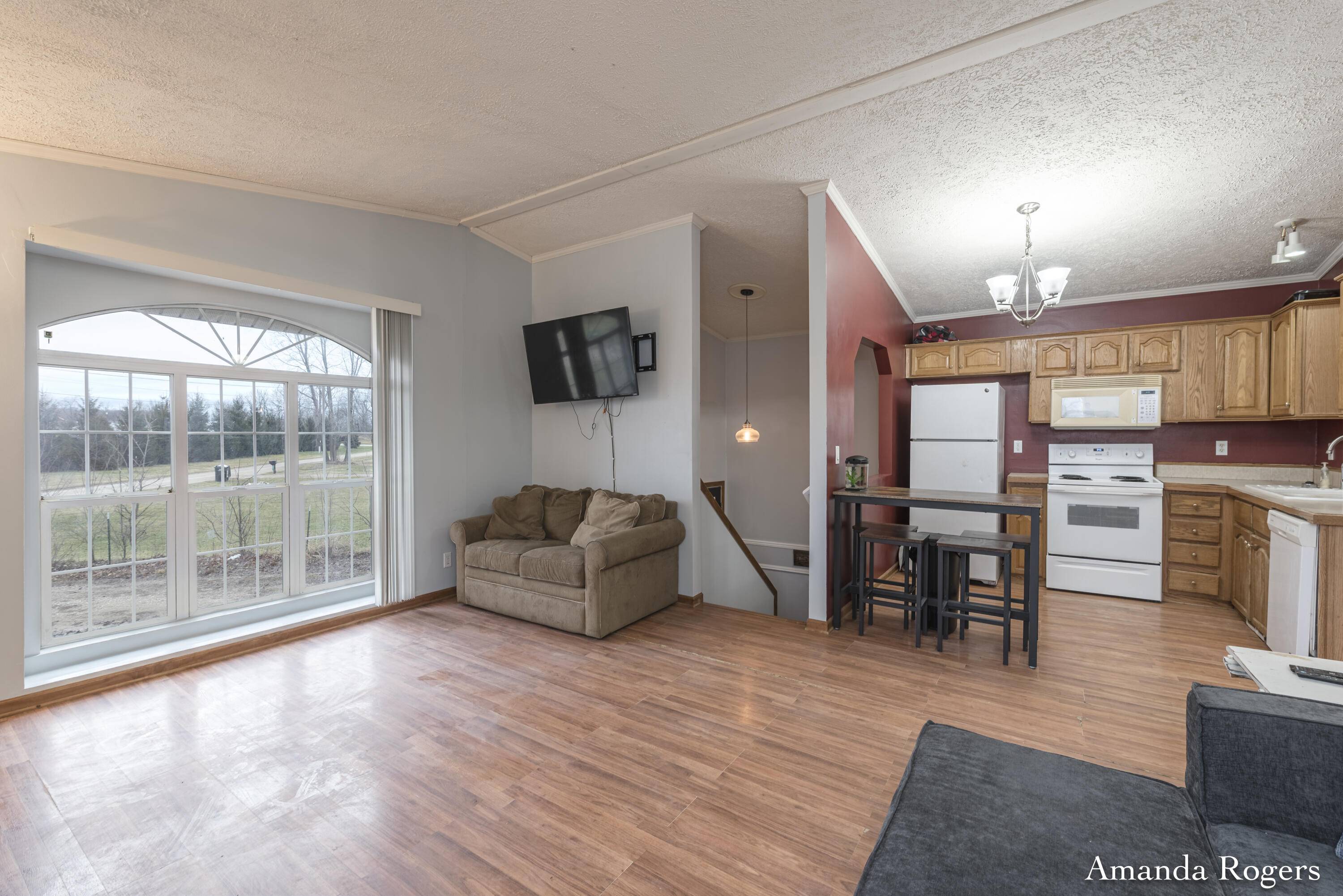 Lake Odessa, MI 48849,13447 Christopher ST