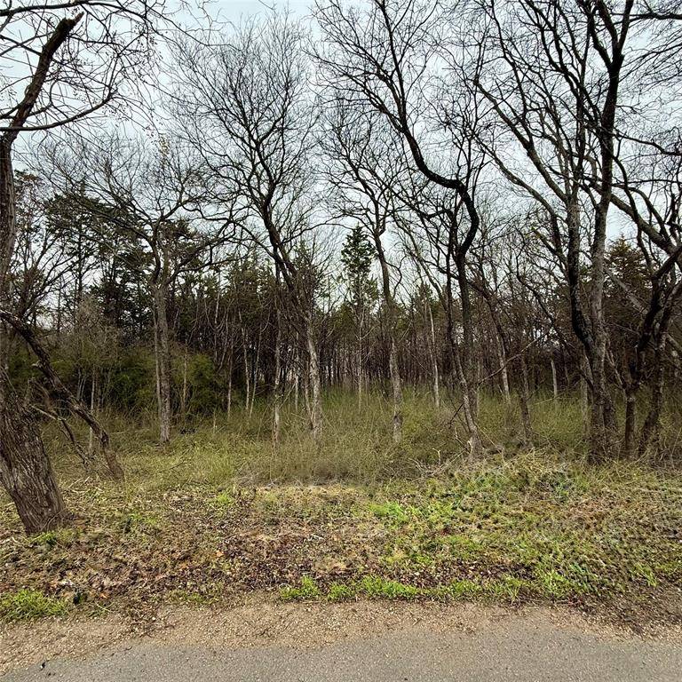 3203 Persimmon Road, Dallas, TX 75241