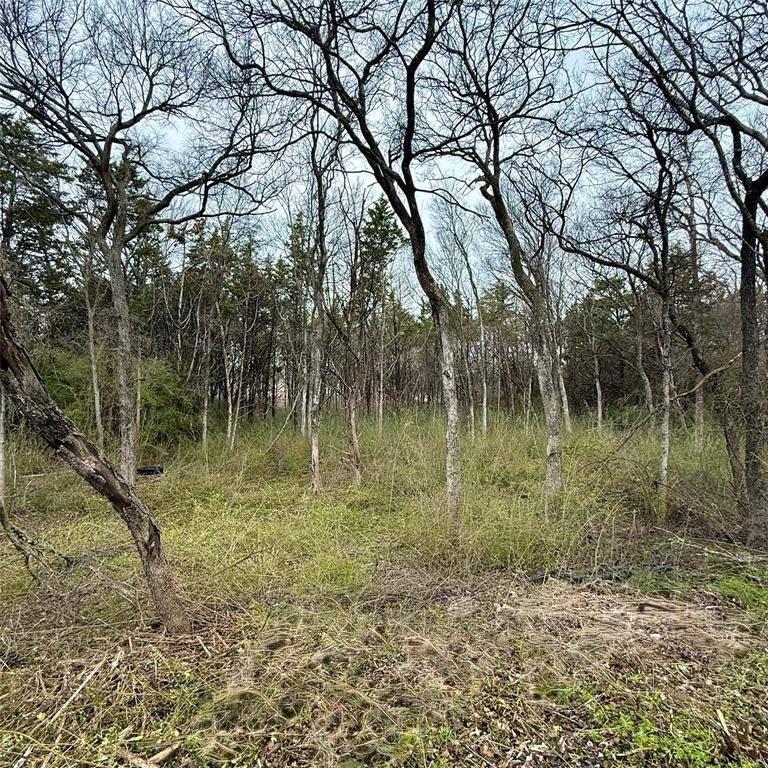 3203 Persimmon Road, Dallas, TX 75241