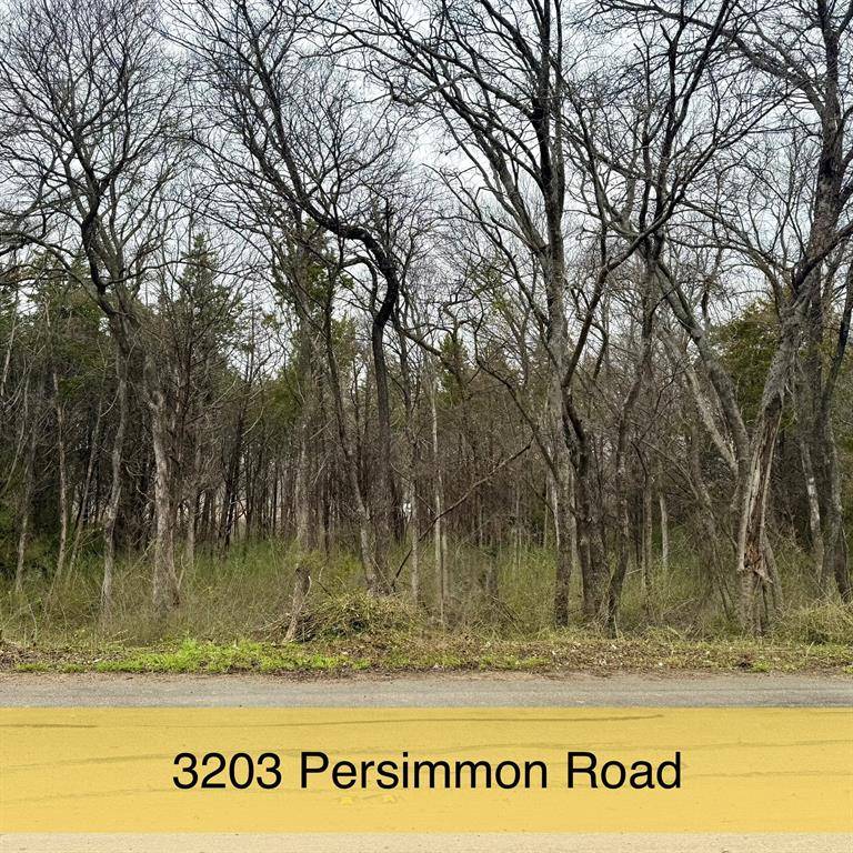 3203 Persimmon Road, Dallas, TX 75241