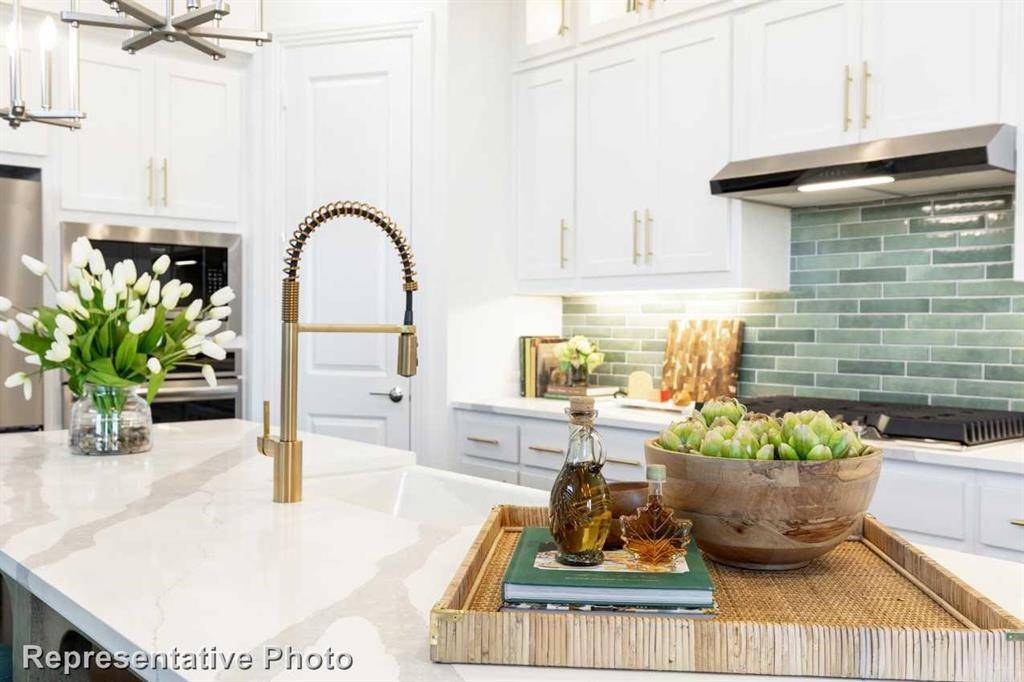 Oak Point, TX 75068,4411 Azalea Trail