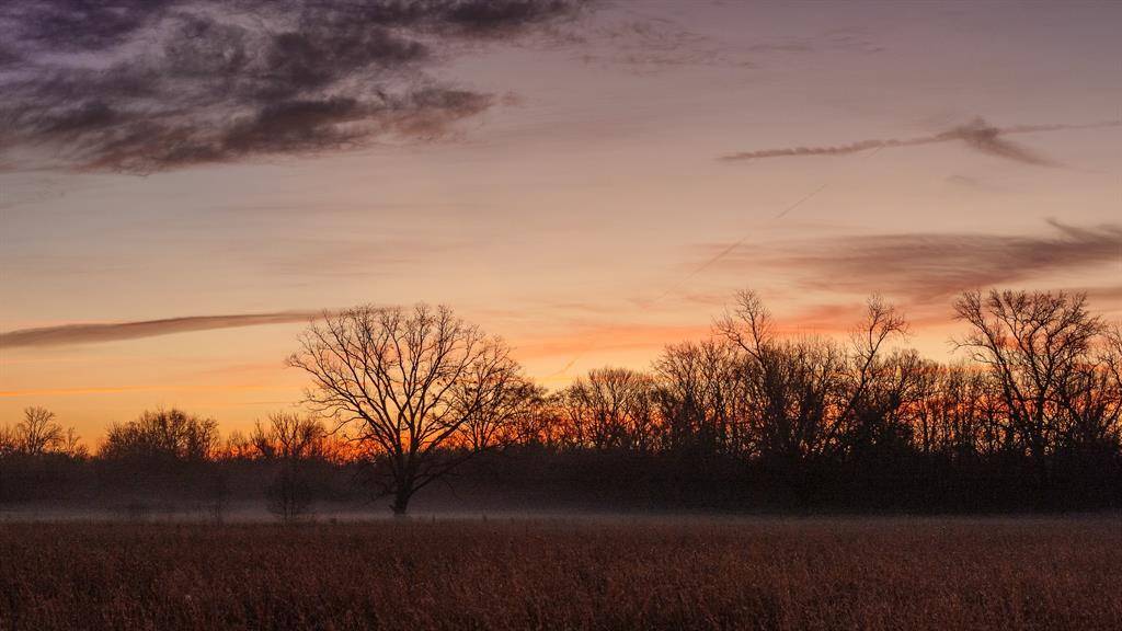 Tyler, TX 75703,6008 Fm 344 E