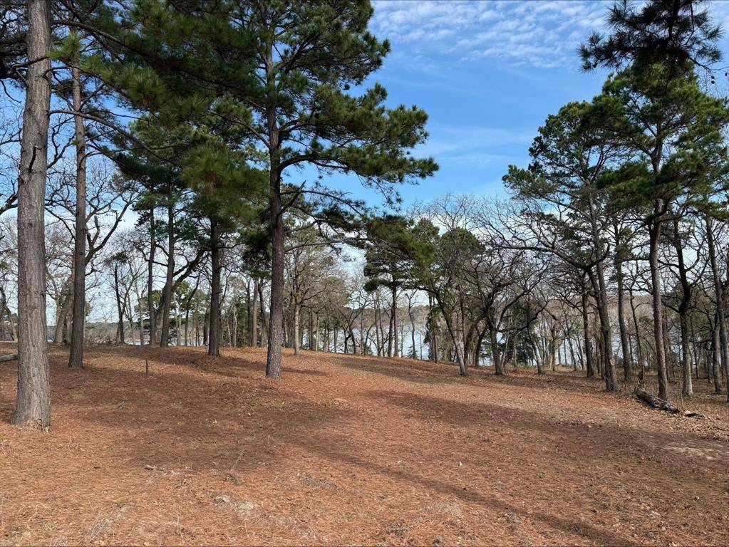 Larue, TX 75770,3268 Shadow Pine Drive