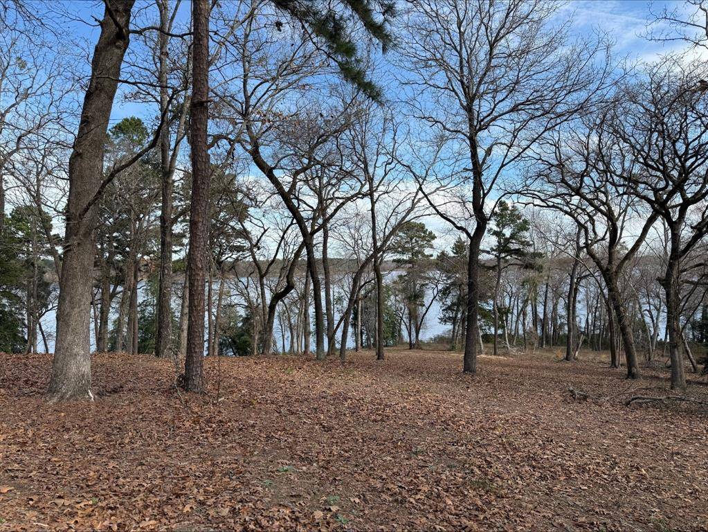 Larue, TX 75770,3268 Shadow Pine Drive