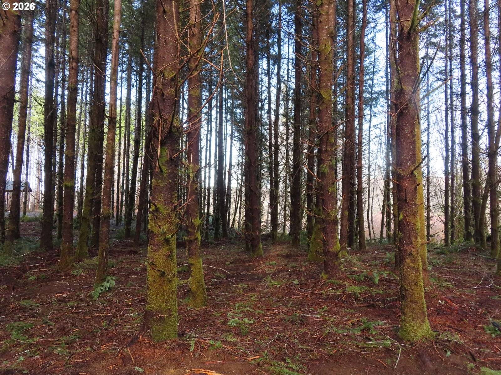 Raymond, WA 98577,2431 N RIVER RD