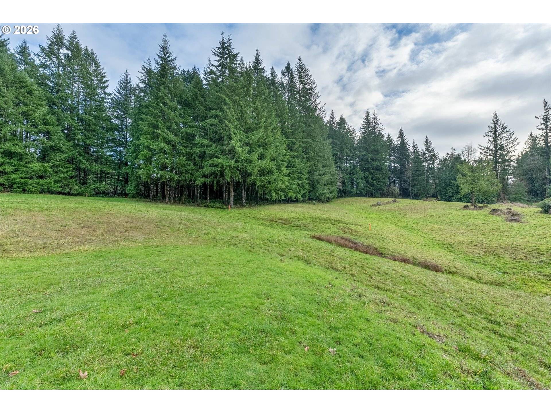 Kelso, WA 98626,0 Bodine RD