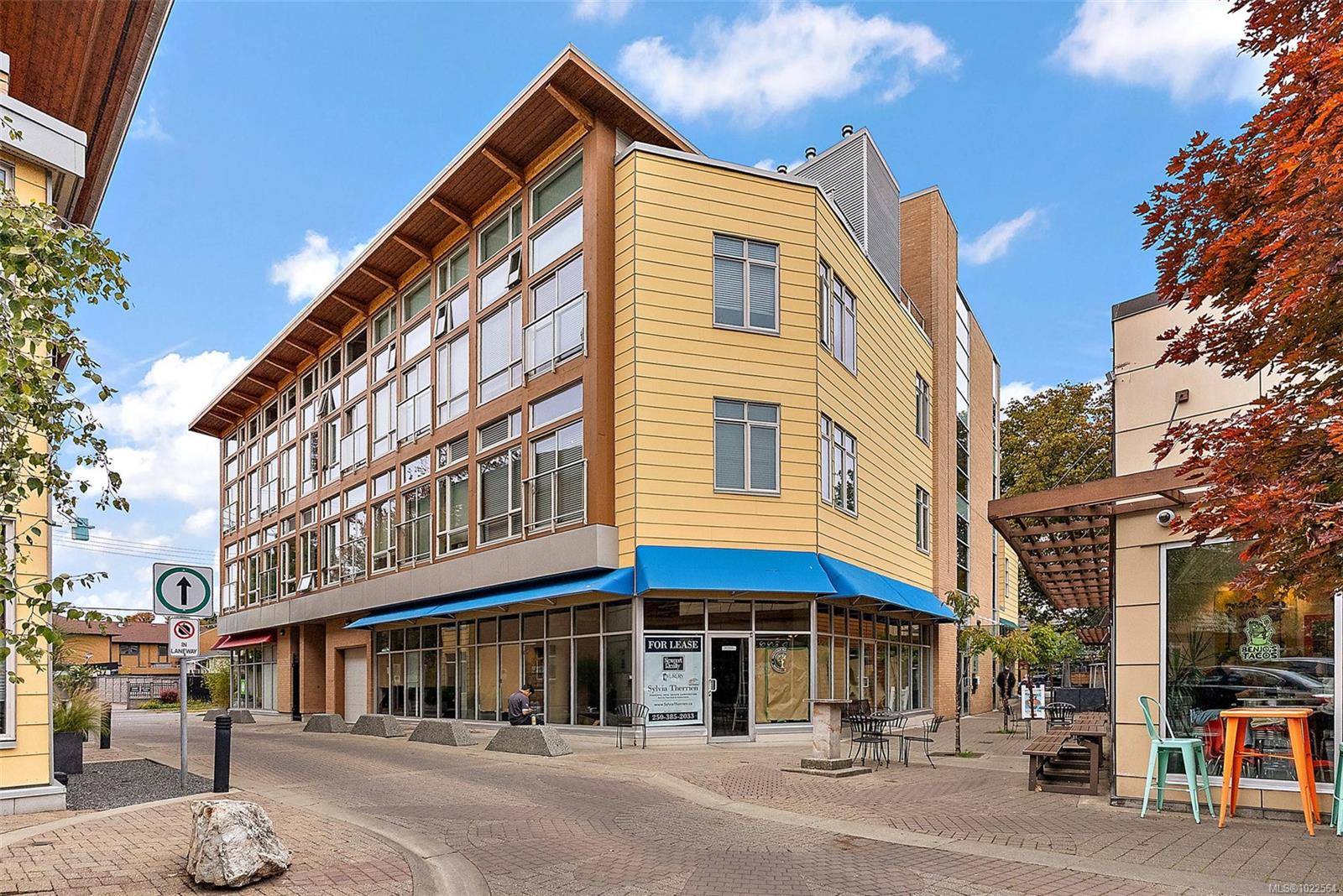 Victoria, BC V8V 3X3,240 Cook St #211