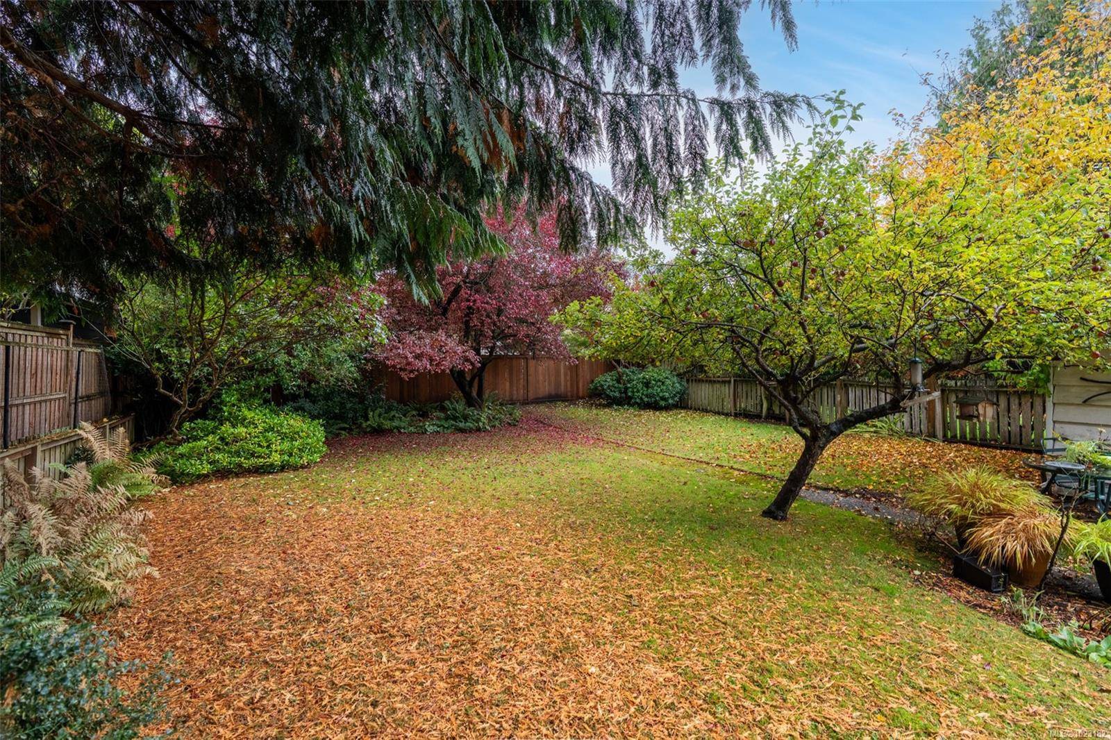 Victoria, BC V8S 3Y4,416 Richmond Ave