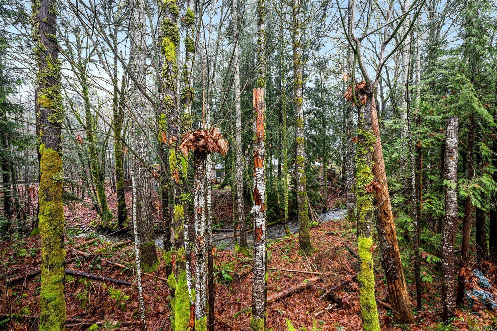 Lake Cowichan, BC V0R 2G1,211 Madill Rd #50