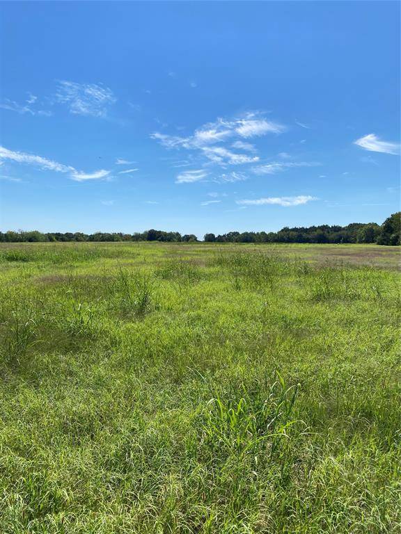 Cumby, TX 75433,Lot 17 County Road 1126