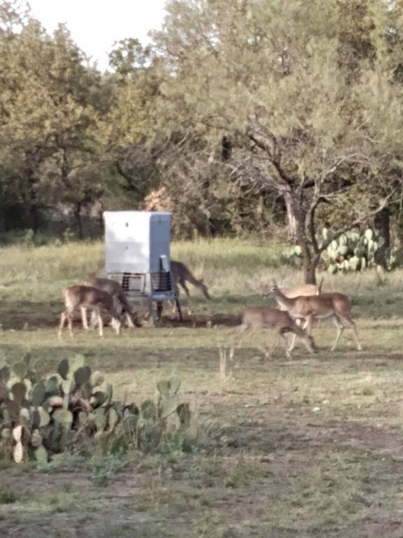 Brady, TX 76825,000 County Road 152