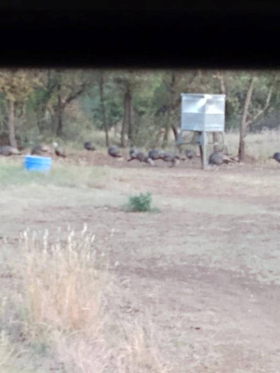 Brady, TX 76825,000 County Road 152