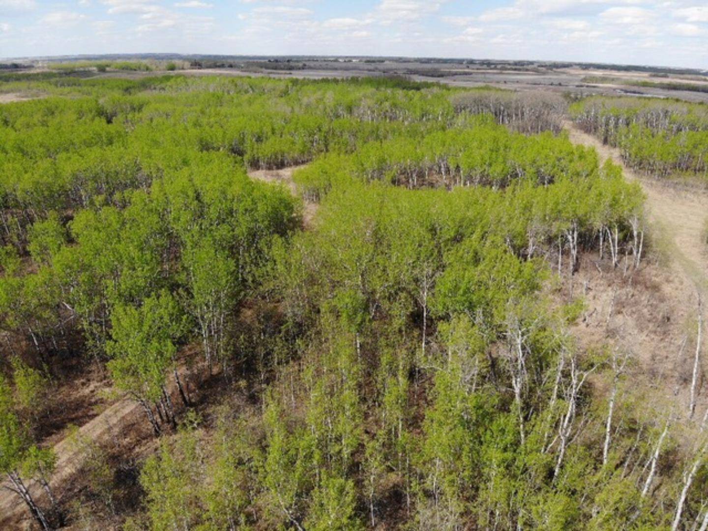 Rural Wainwright No. 61 M.d. Of, AB T9W 1L5,450031 73 Range