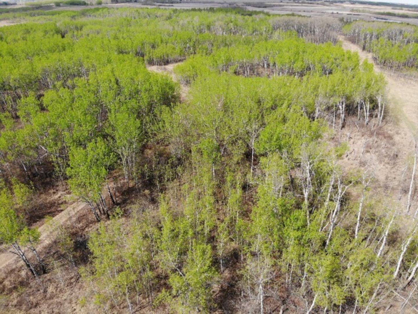 Rural Wainwright No. 61 M.d. Of, AB T9W 1L5,450031 73 Range