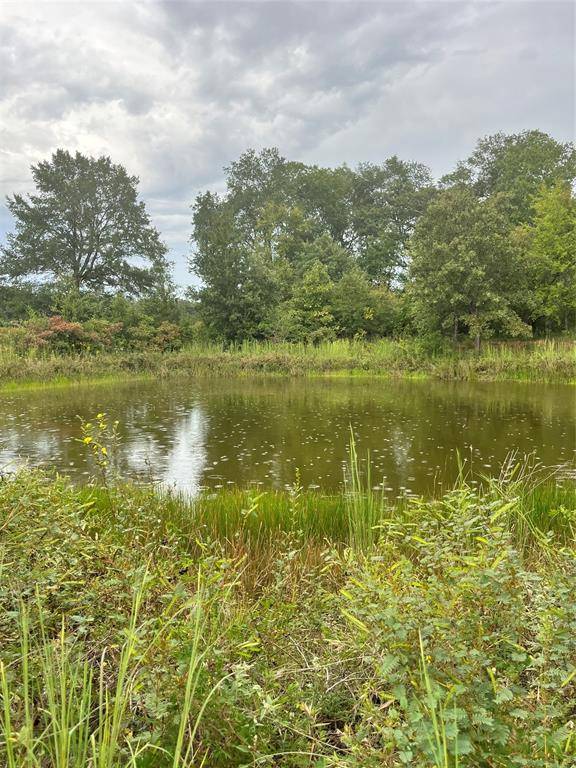 Telephone, TX 75488,Lot 5 County Road 2310