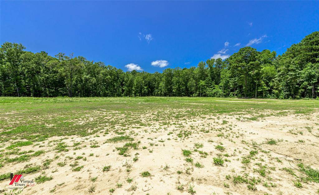 Plain Dealing, LA 71064,790 Chalybeate Springs Road