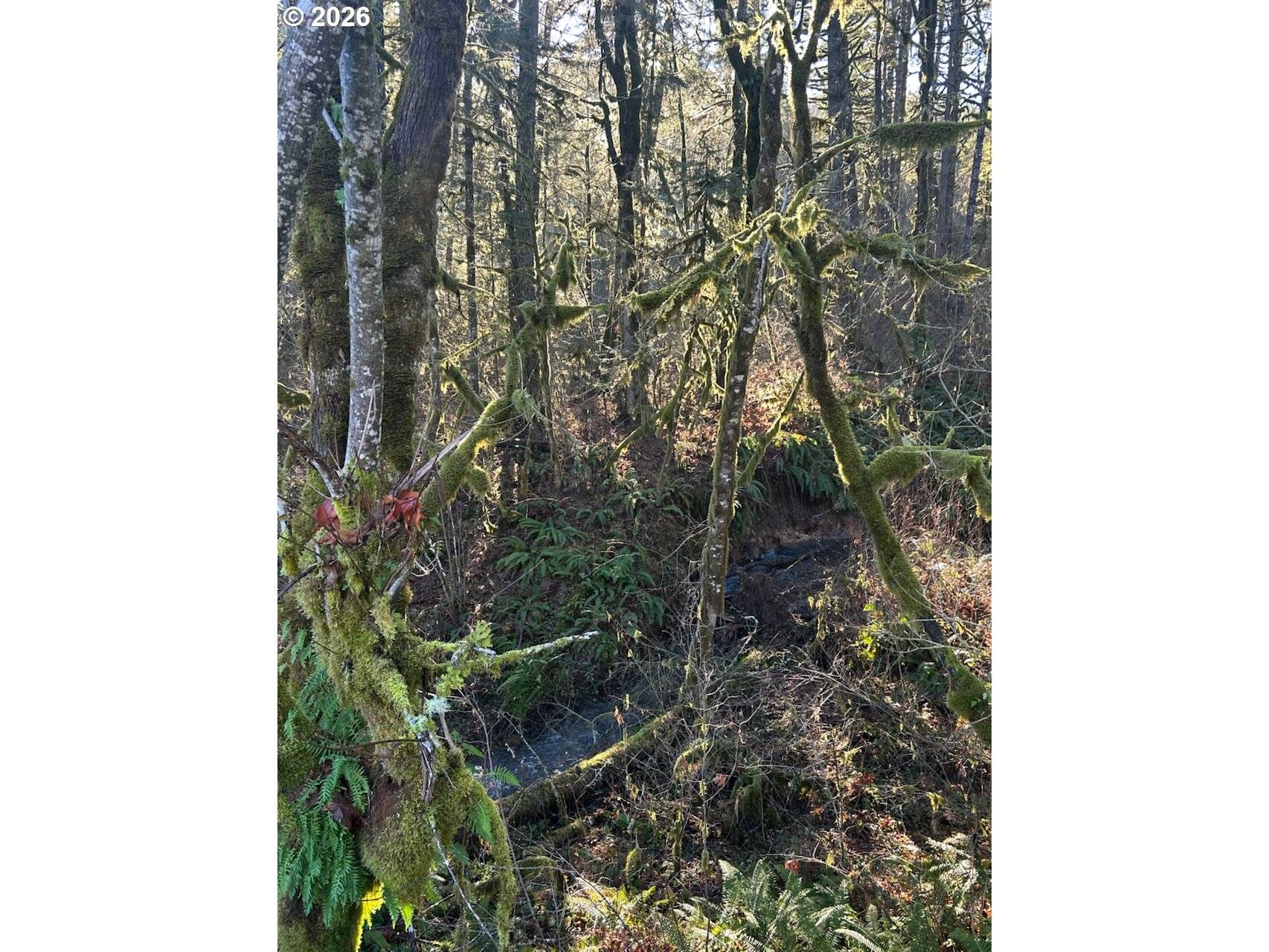 Sheridan, OR 97378,Rock Creek RD #1