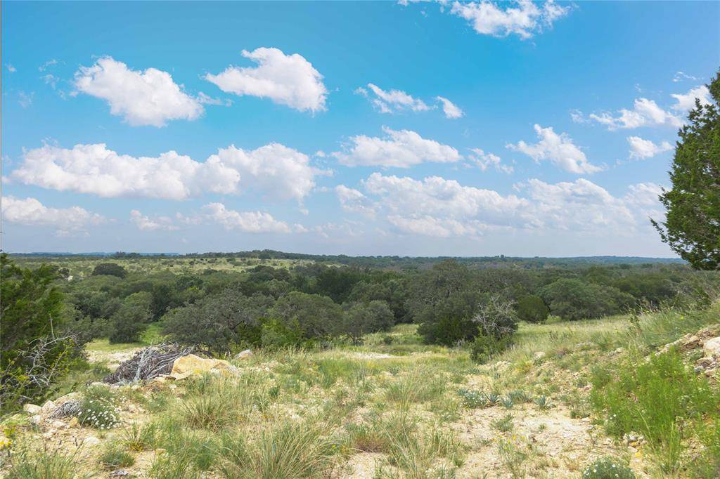 Blanket, TX 67432,332 Ledge Stone