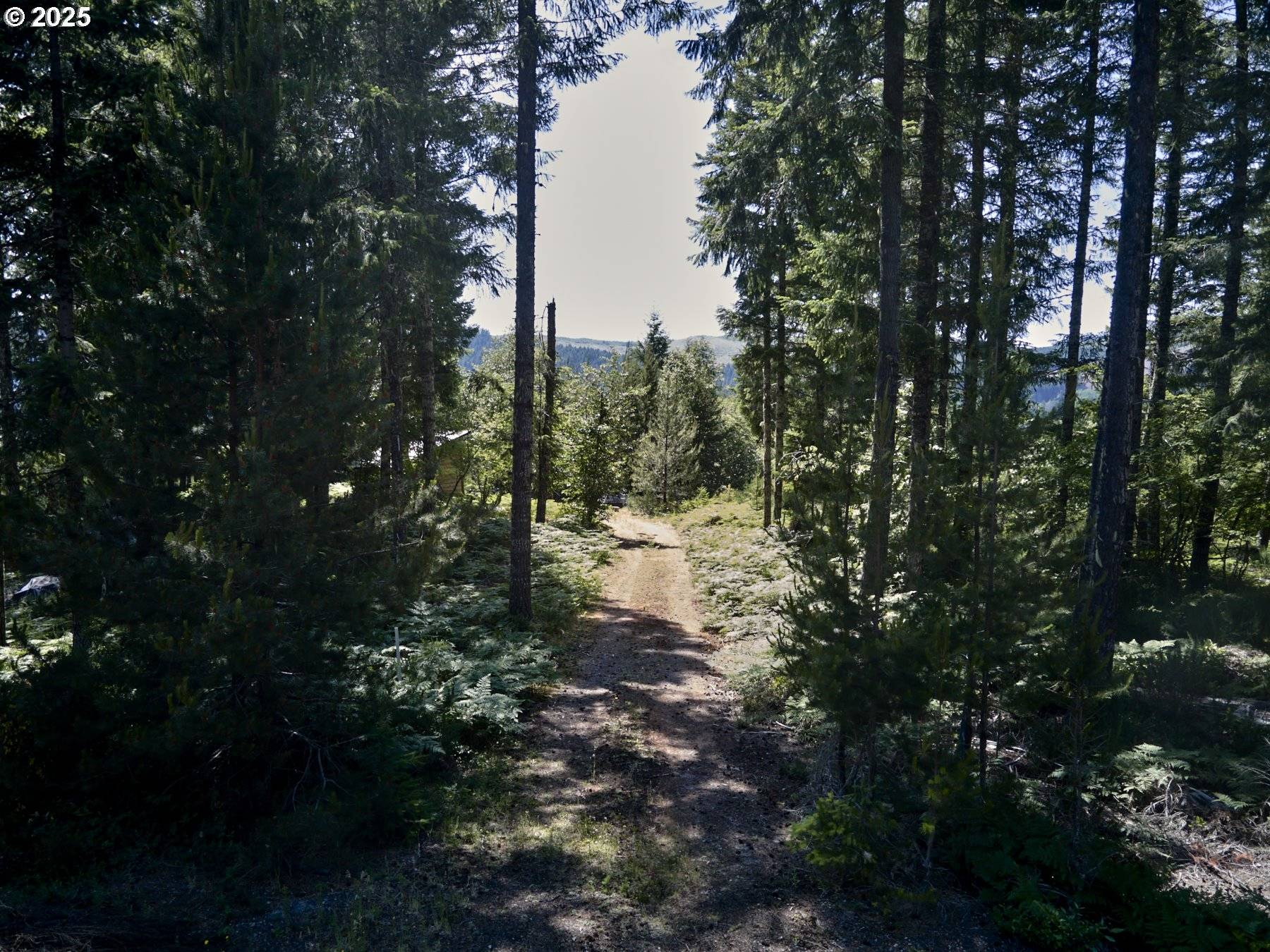 Cougar, WA 98616,2 Phyllis Ann Block CT