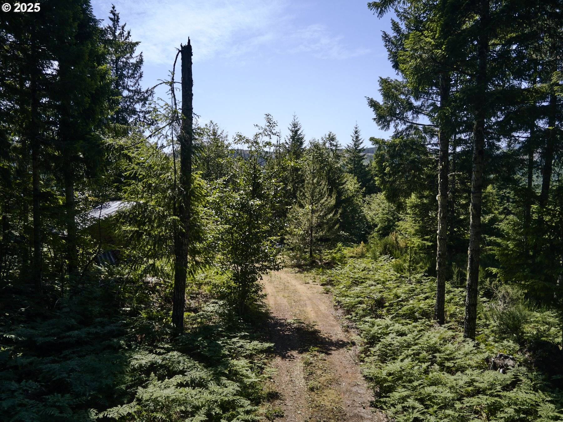 Cougar, WA 98616,2 Phyllis Ann Block CT