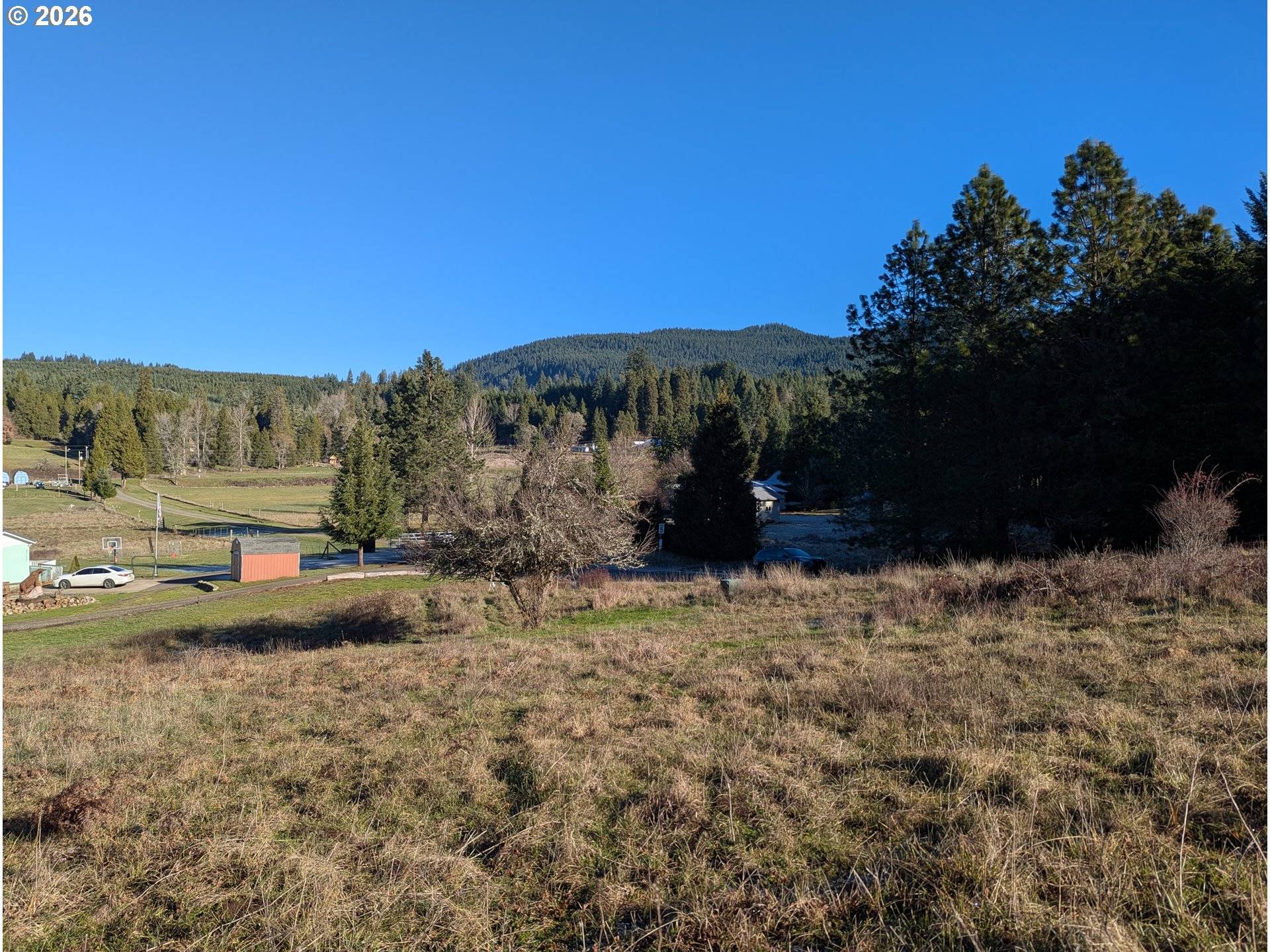 Oakridge, OR 97463,Spike Dr #39