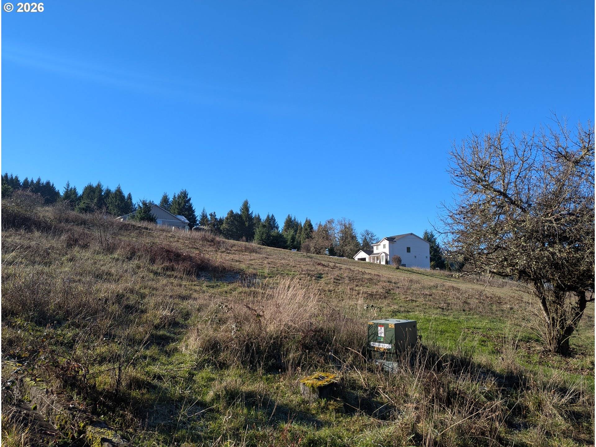 Oakridge, OR 97463,Spike Dr #39