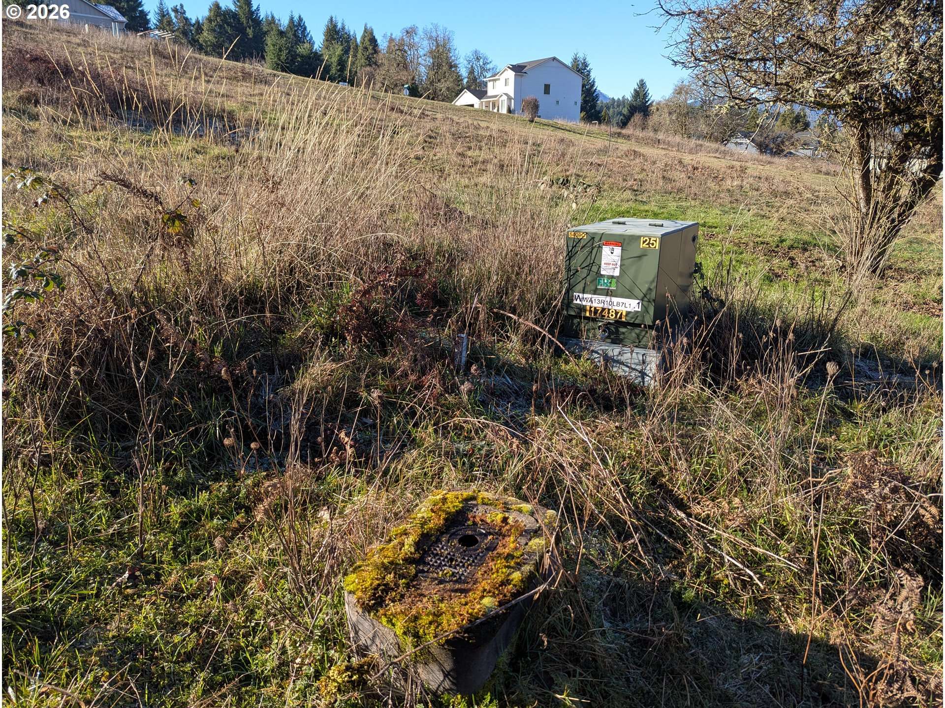 Oakridge, OR 97463,Spike Dr #39