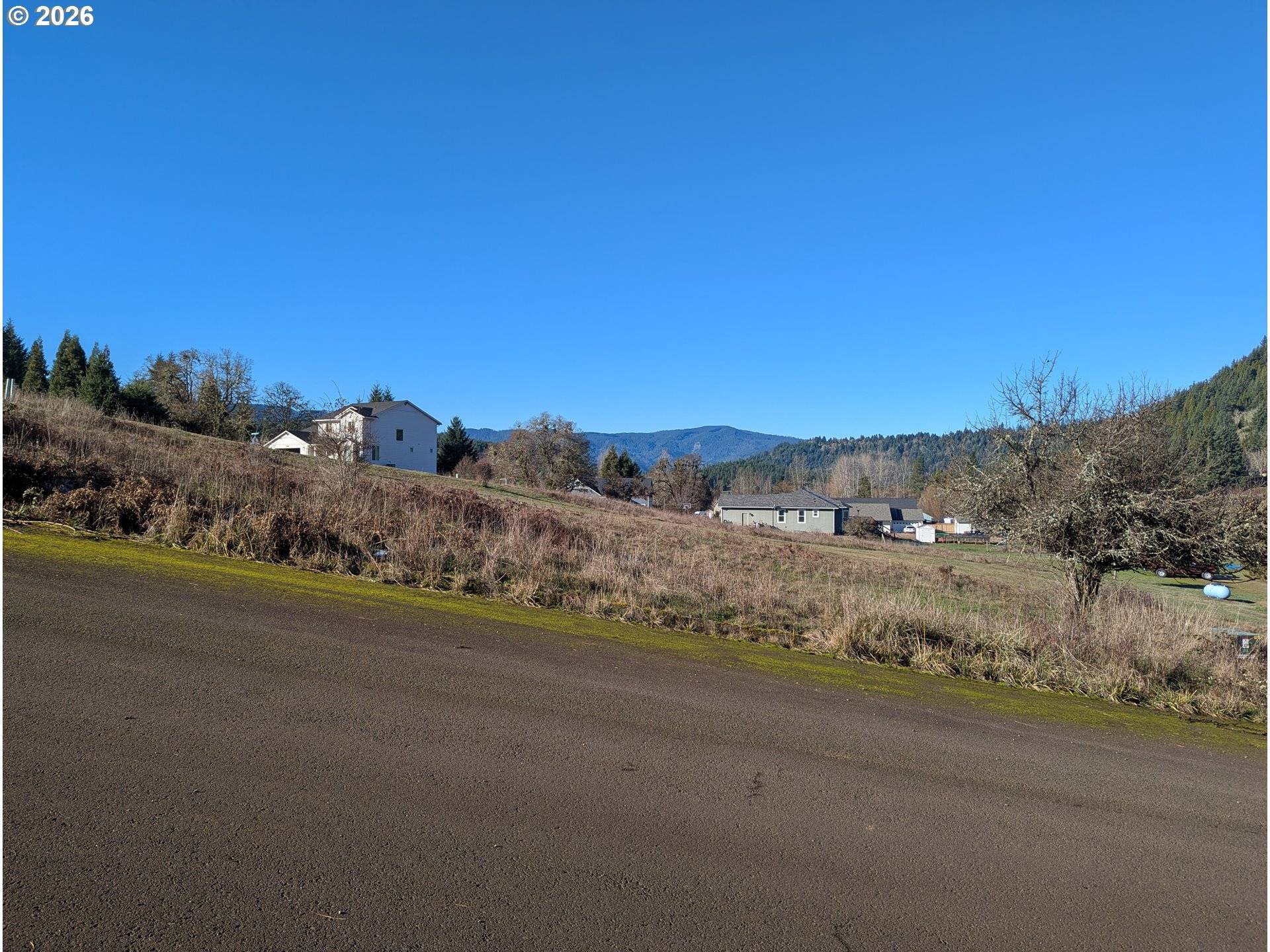 Oakridge, OR 97463,Spike Dr #39