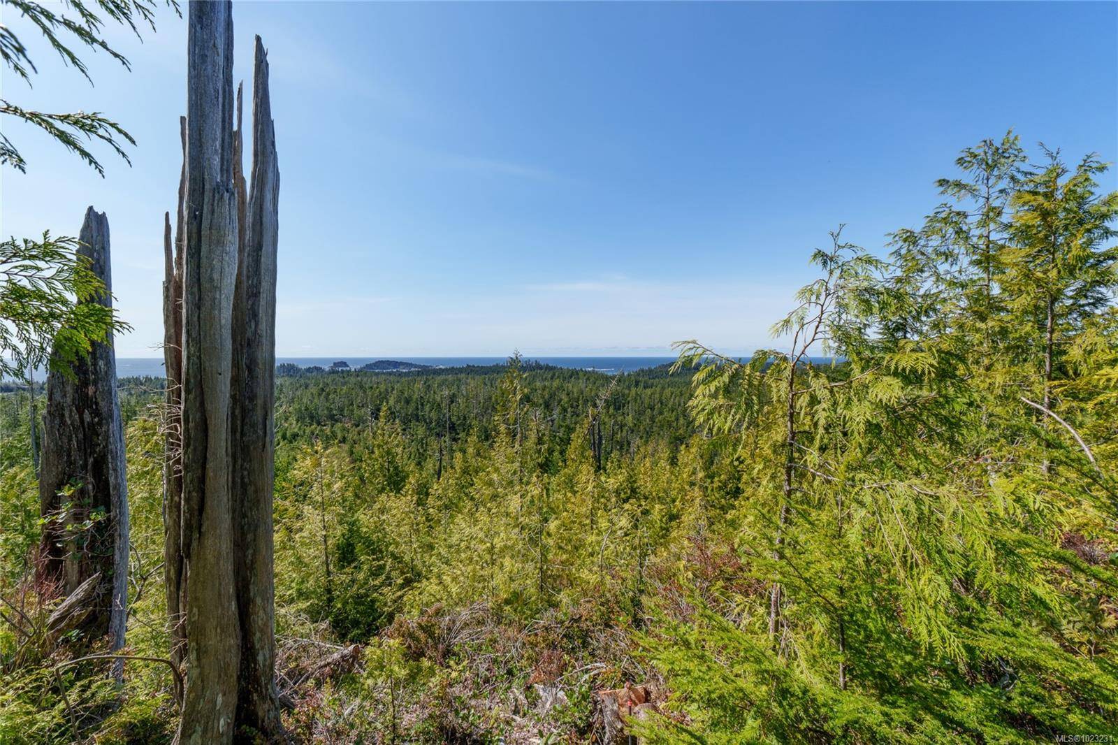 Ucluelet, BC V0R 3A0,Lot 13 Uplands Way