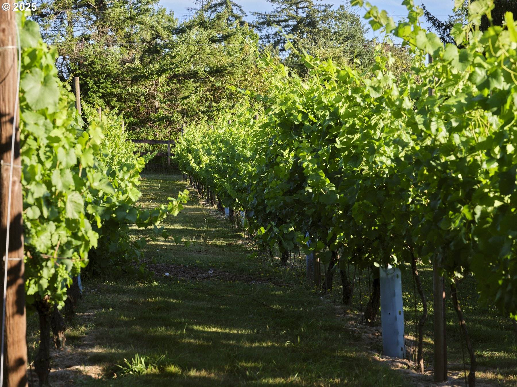 Battle Ground, WA 98604,11700 NE 279TH ST