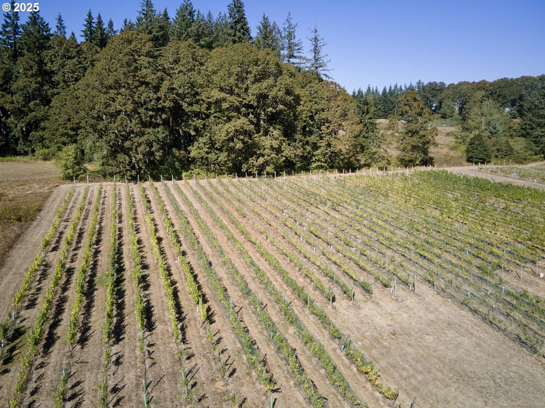 Battle Ground, WA 98604,11700 NE 279TH ST