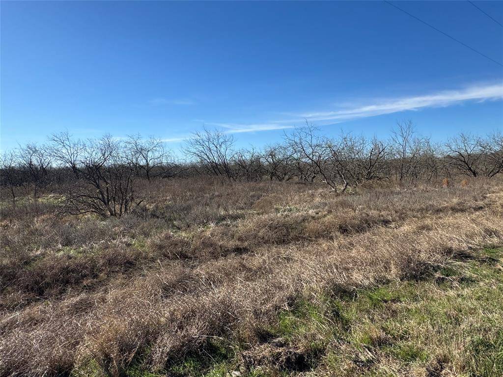 Wortham, TX 76693,2.29Acres Boren Private Road