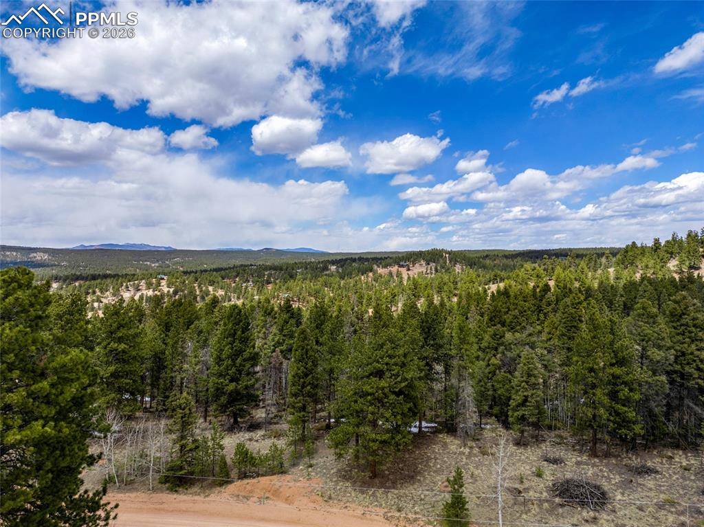 Florissant, CO 80816,451 Chipeta Creek TRL