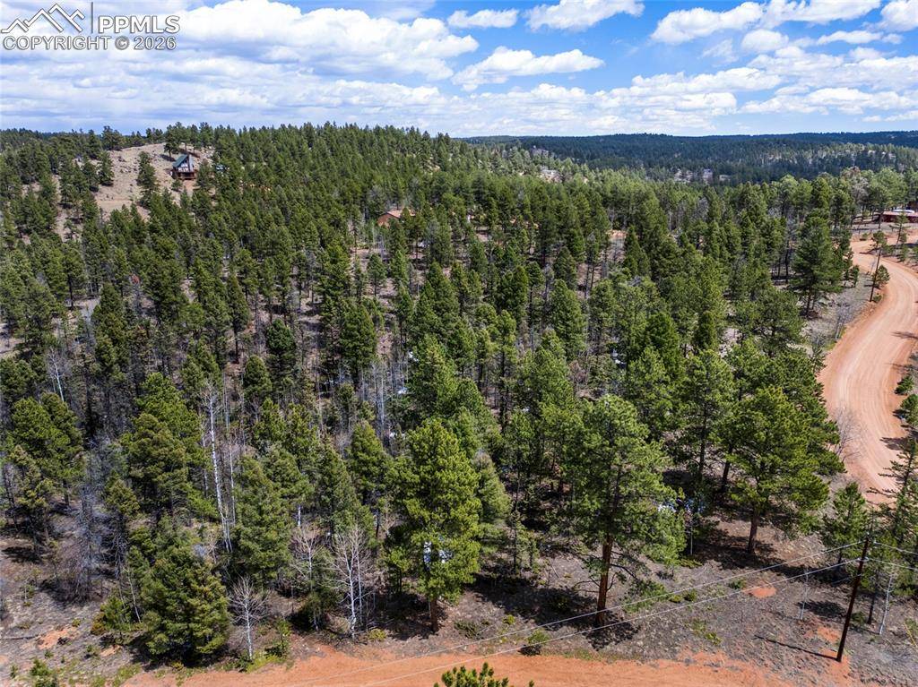 Florissant, CO 80816,451 Chipeta Creek TRL