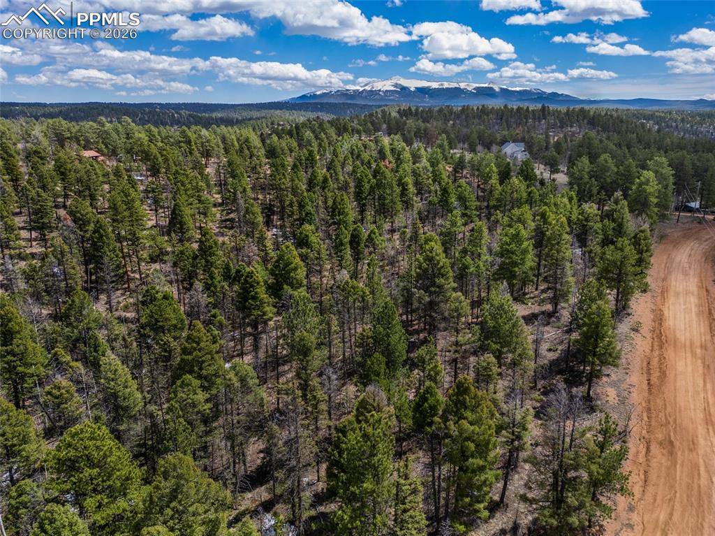 Florissant, CO 80816,451 Chipeta Creek TRL