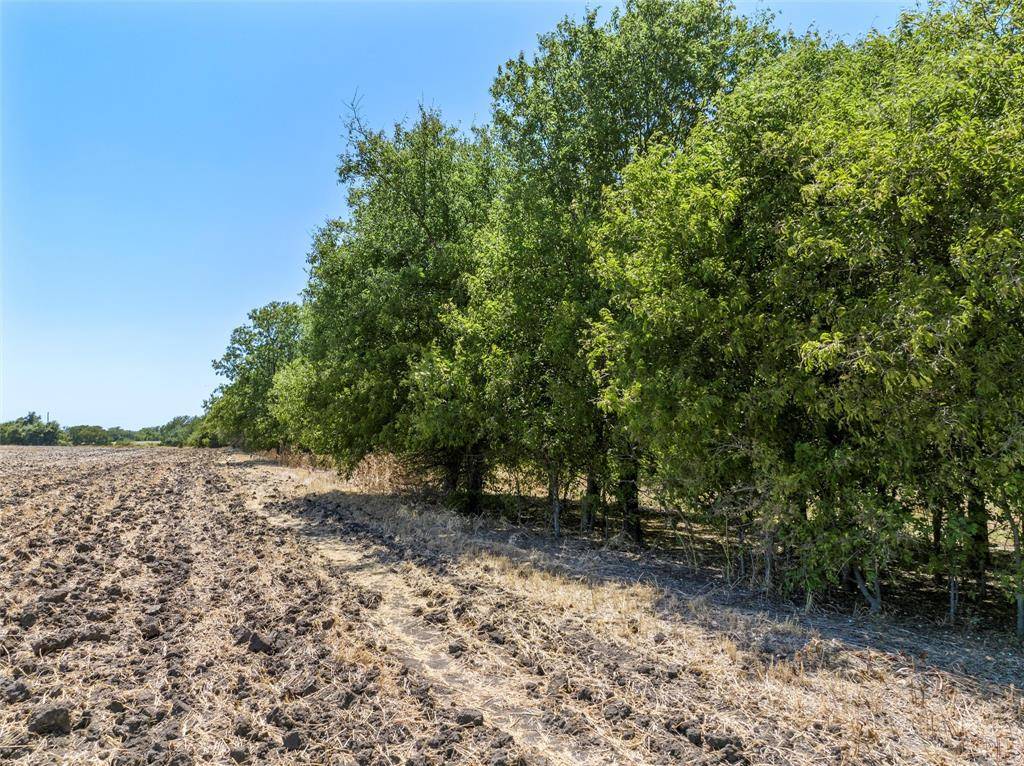 West, TX 76691,TBD +/- 12.5 Acres T M West Parkway