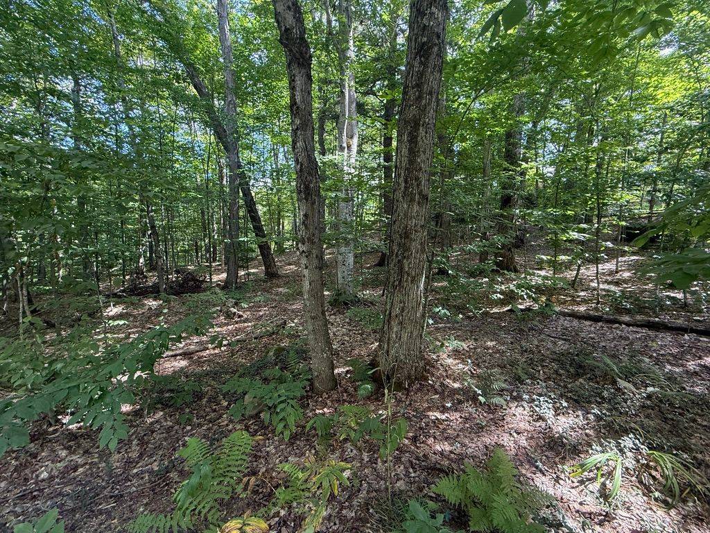 Huntsville, ON P1H 2J2,Lot 85 Brennan CIR