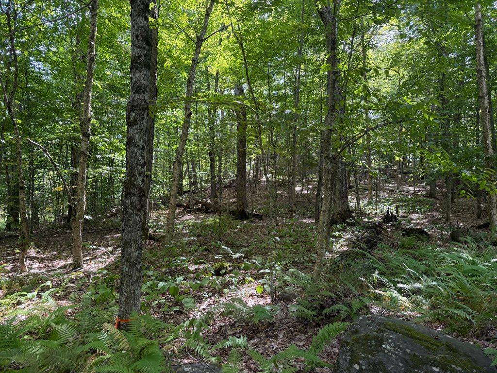 Huntsville, ON P1H 2J2,Lot 85 Brennan CIR