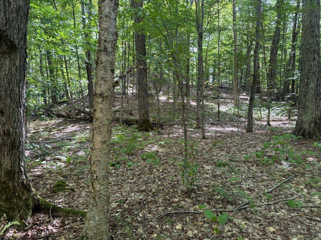 Huntsville, ON P1H 2J2,Lot 85 Brennan CIR