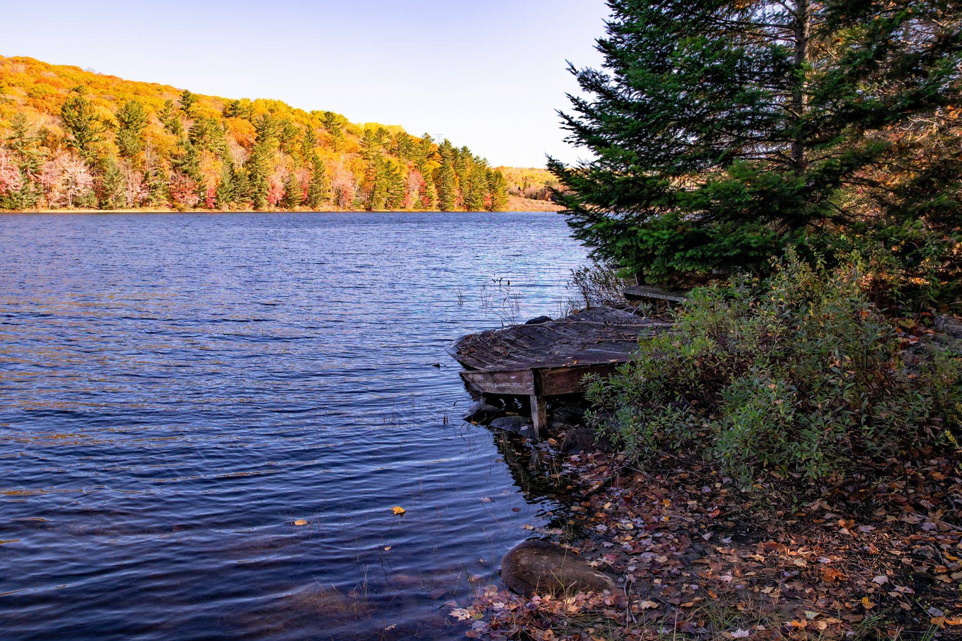 Dysart Et Al, ON K0M 1S0,3517 Haliburton Lake RD