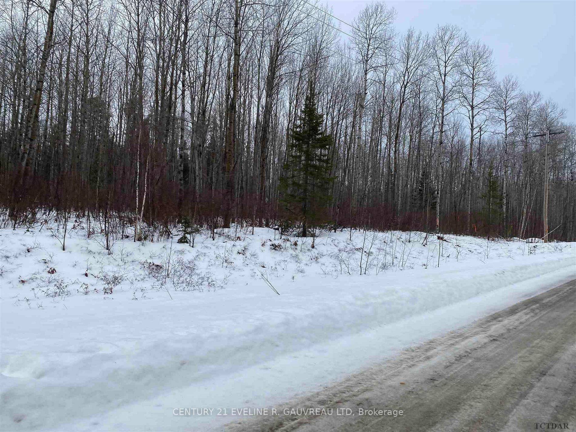 Coleman, ON P0J 1C0,Part 11 Lot 11 Concession 6 Girl Guide RD