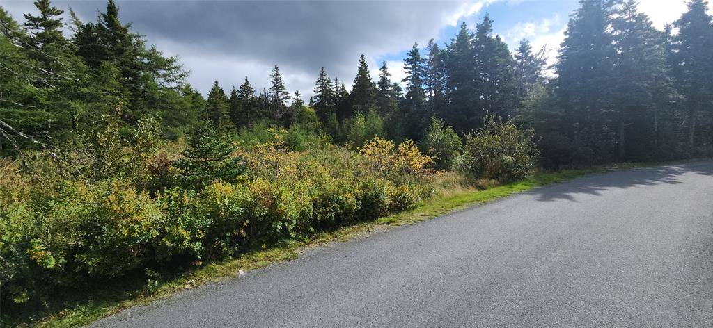 Avondale, NL A0A 1B0,11 Barrys Island Road N