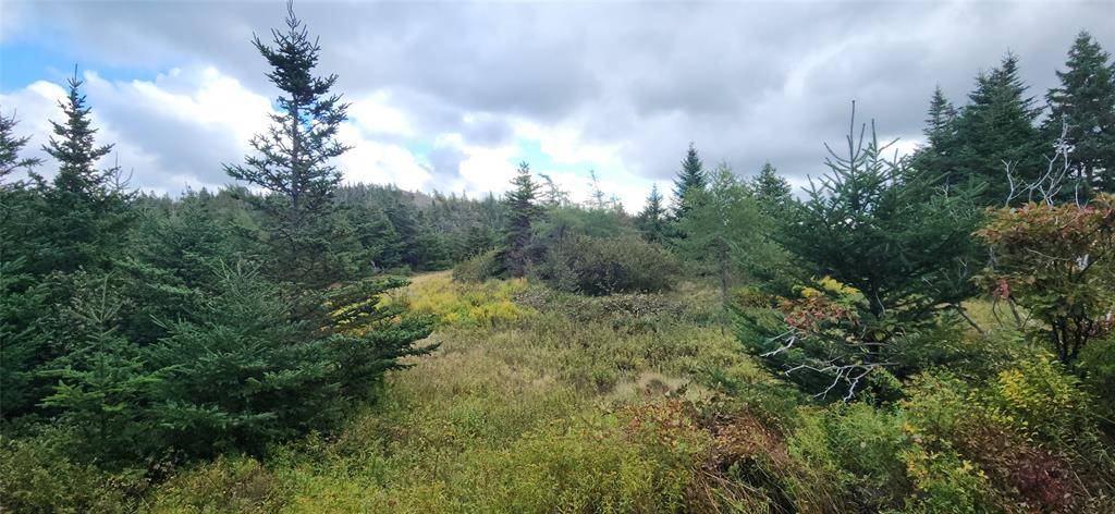 Avondale, NL A0A 1B0,11 Barrys Island Road N