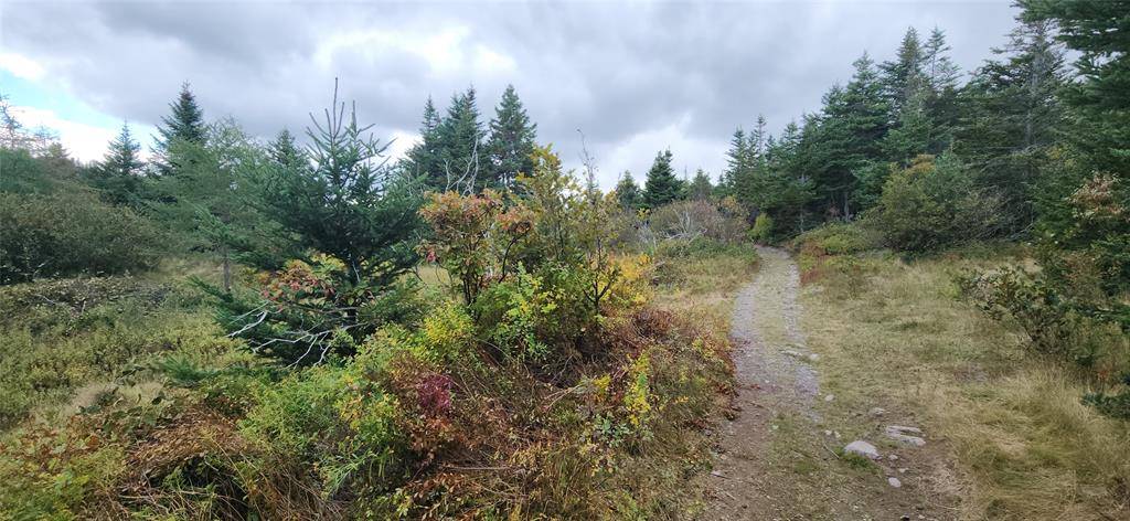 Harbour Main, NL A0A 2P0,101-121 Holdens Road