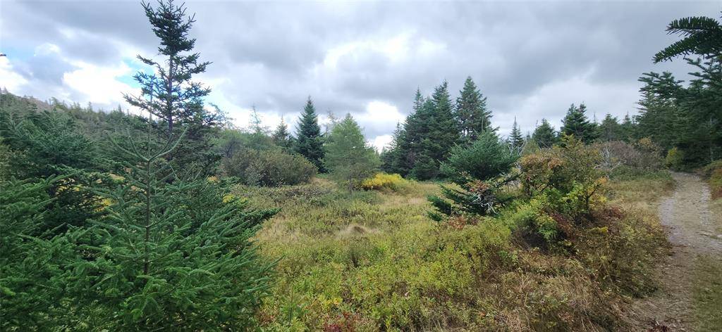 Harbour Main, NL A0A 2P0,101-121 Holdens Road