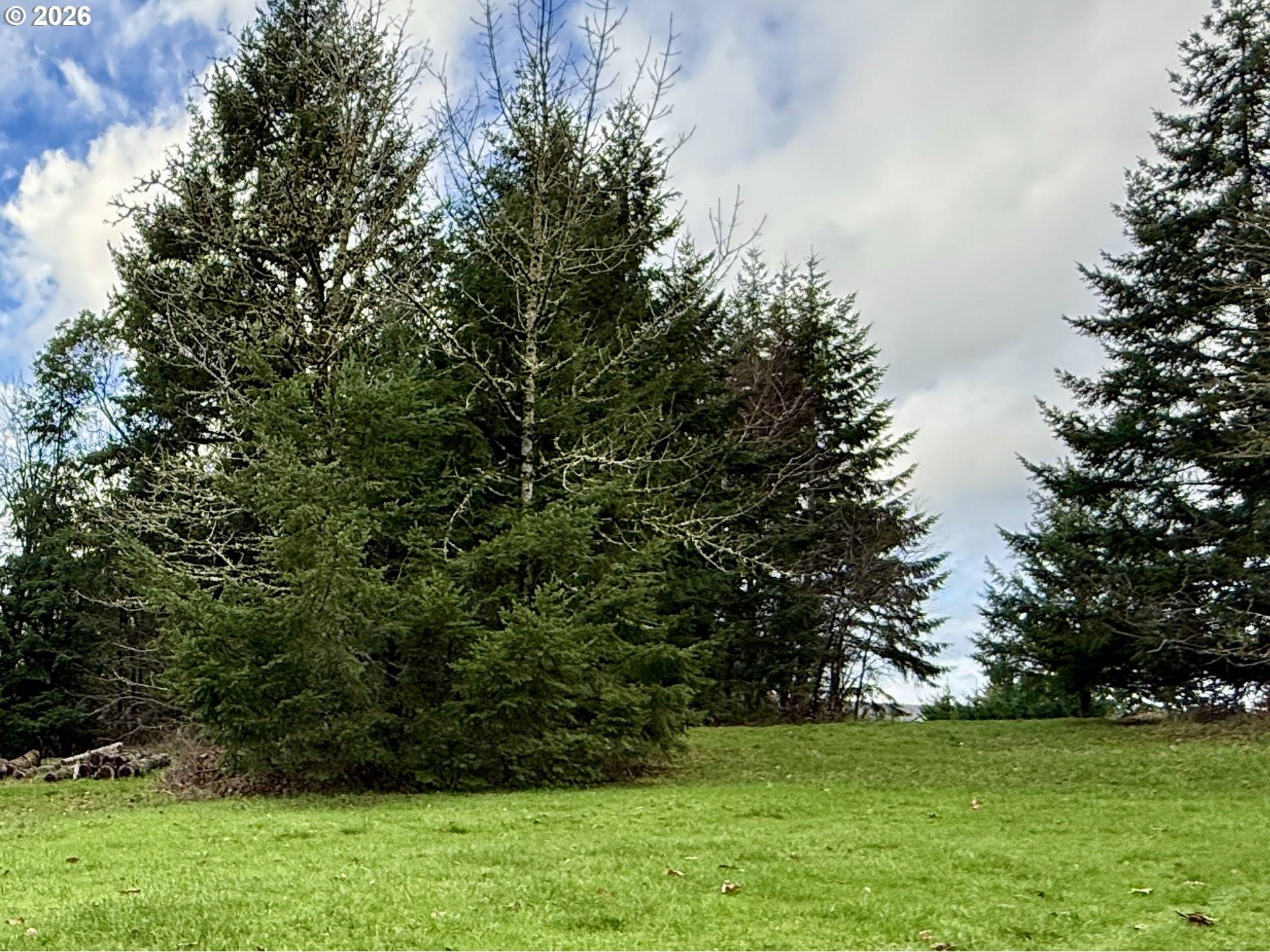 Woodland, WA 98674,114 SKYVIEW RD